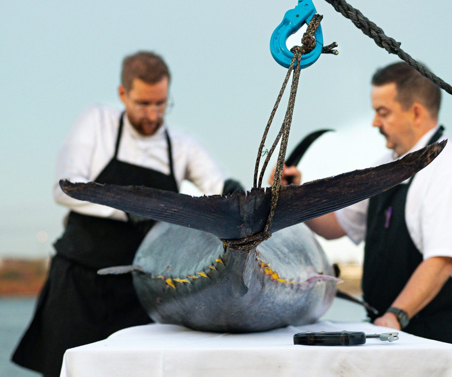 Mystic Reckoning Dinner-38