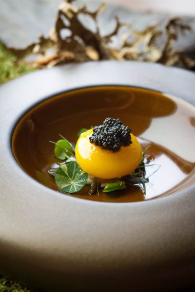 caviar+egg caviar+egg