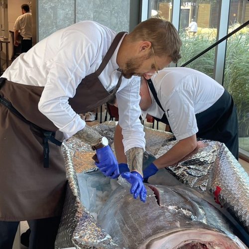 tuna3 tuna3
